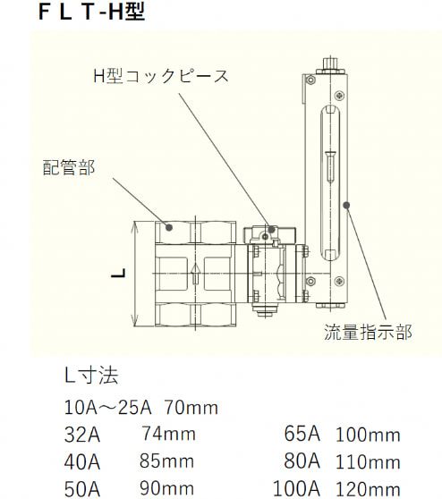 FLT-H^̖ʊԐ@